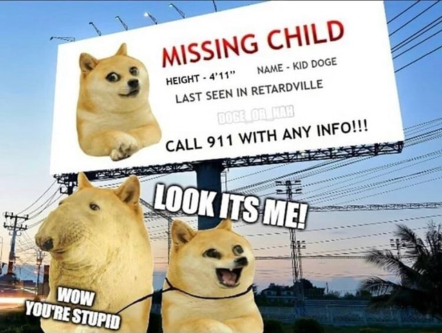 MISSING CHILD KID DOGE NAME - KID DOGE 3 HeIGHT LAST - 4711