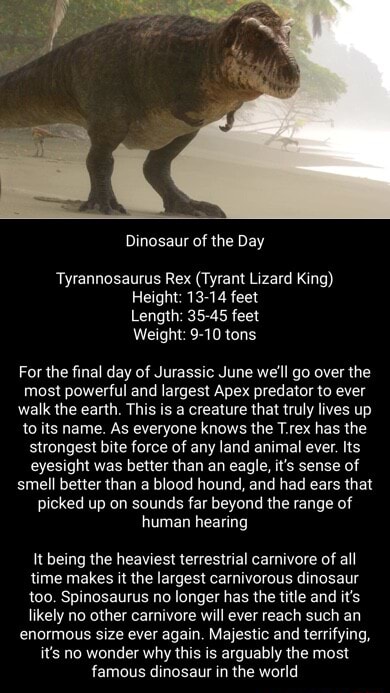 Tyrannosaurus Rex Was the Tyrant Lizard King