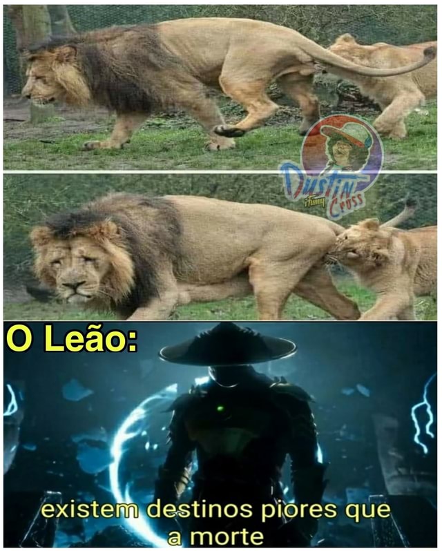 Striker,O Leão(comissions open!!) (@TeymosoO) / X