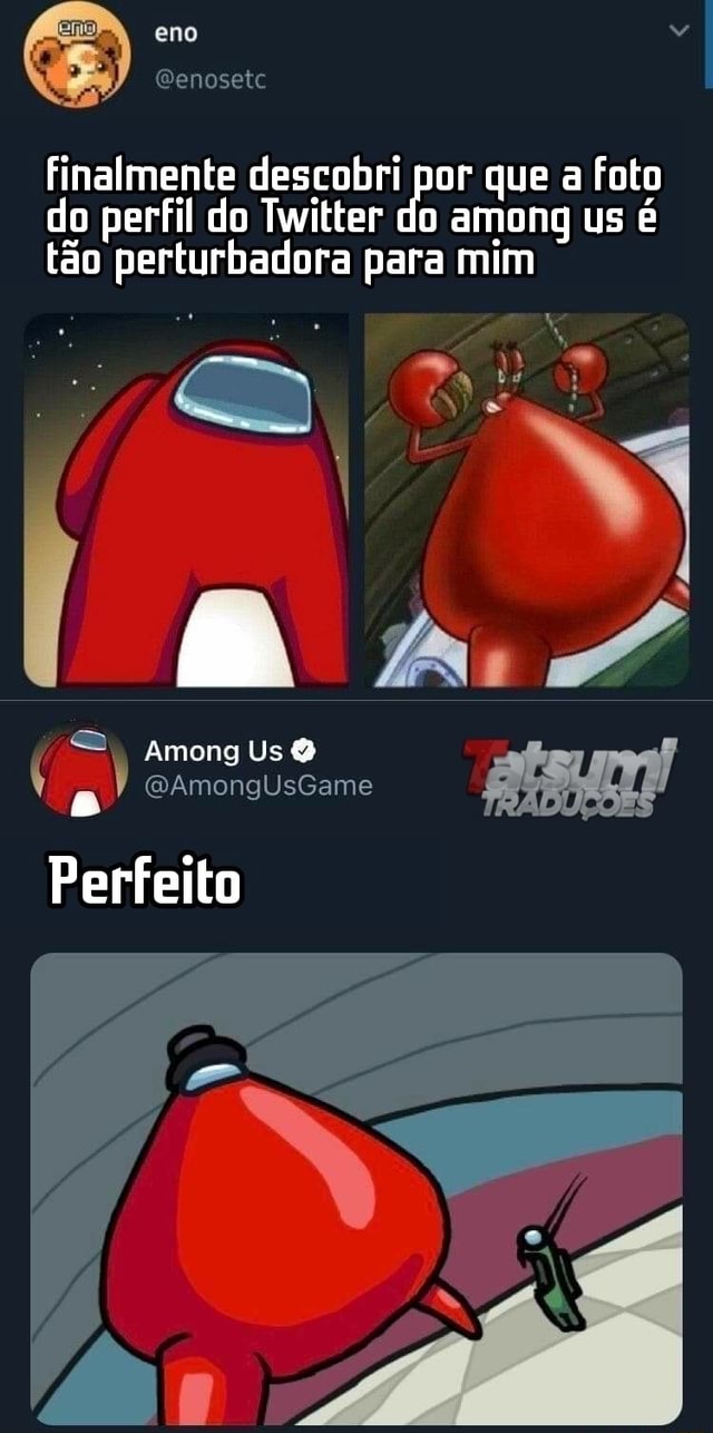 Eno finalmente descobri por que a foto do perfil do Twitter do among us é  tão perturbadora para mim Among Us (QAmongUsGame Perfeito - iFunny Brazil