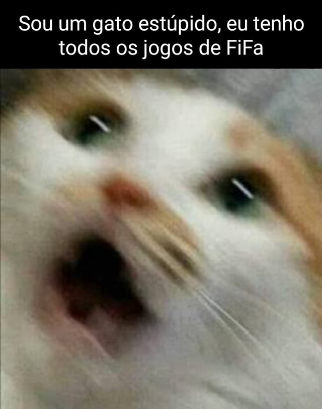 Minha gata não quis mais jogar o joguinho de gato do capeta - iFunny Brazil