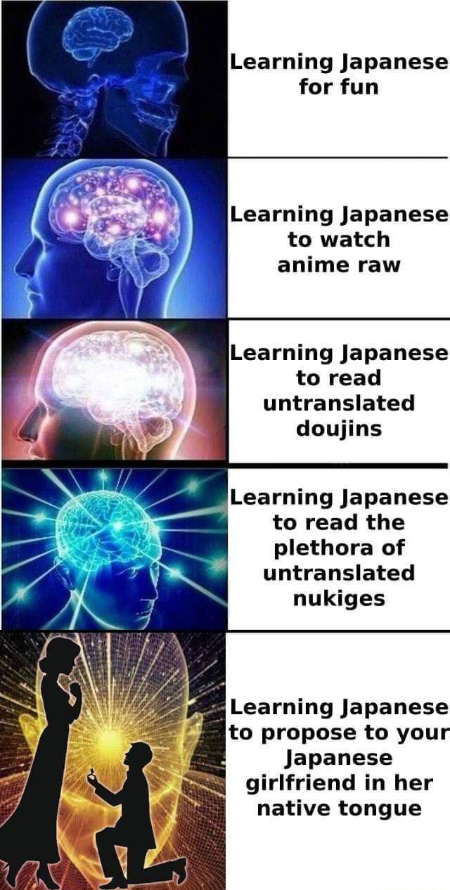 Learning Japanese for fun Learning Japanese to watch anime raw Learning  Japanese to read untranslated doujins Learning Japanese to read the  plethora of untranslated nukiges Learning Japanese to propose to your  Japanese