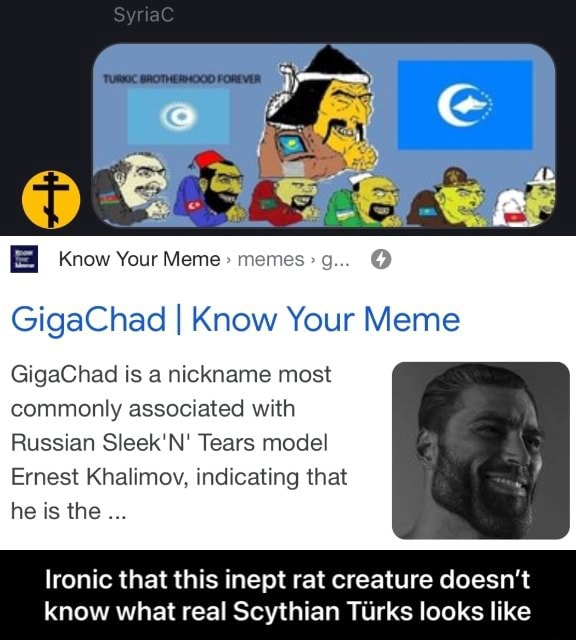 GigaChad  Know Your Meme