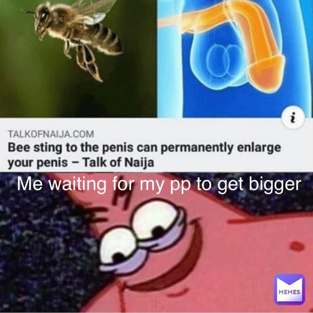 COM Bee sting to the penis can permanently enlarge your penis