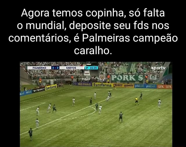 Palmeiras não levou o Mundial, mas não faltaram memes