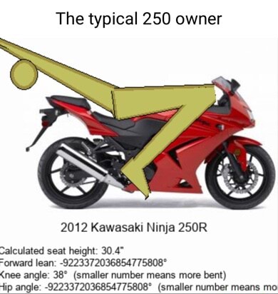 The typical 250 owner 2012 Kawasaki Ninja 250R Salculated seat 