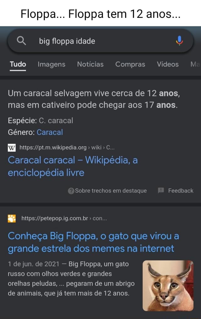 Floppa Floppa tem 12 anos O, big floppa idade Tudo Imagens