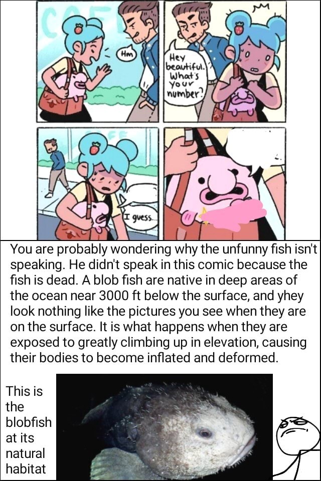 Blobfish memes. Best Collection of funny Blobfish pictures on iFunny Brazil