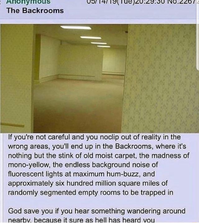  nonymous The Backrooms If you're not careful and you noclip out of  reality in the wrong areas. you'll end up in the Backrooms. where it's  nothing but the stink of old moist carpet, the madness of mono-yellow. the  endless background noise of ﬂuorescent