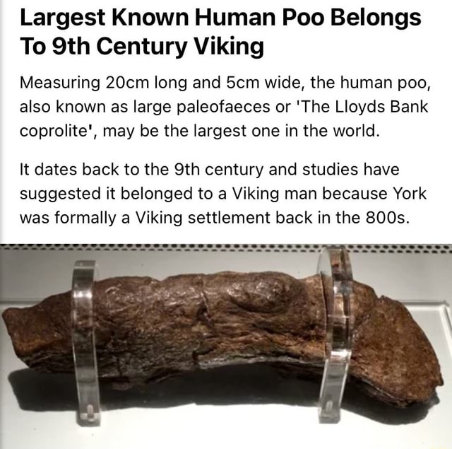 This is the largest fossilized human turd ever found. It belonged to a sick  Viking in the 9th Century AD, and has been valued at $39,000 :  r/interestingasfuck