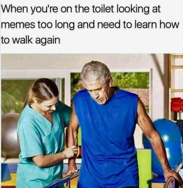 More Later: I sit on the toilet : r/memes