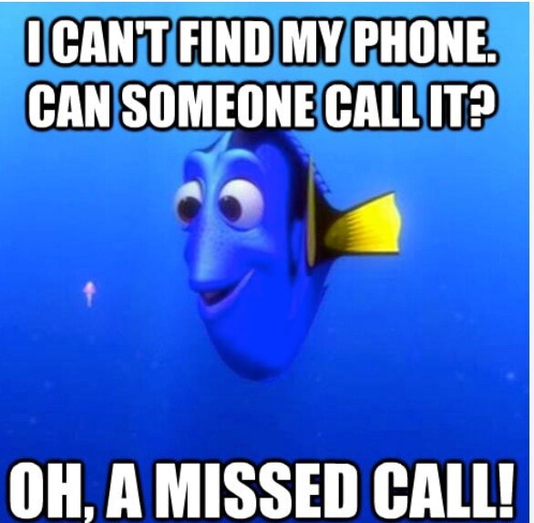 Find my phone call