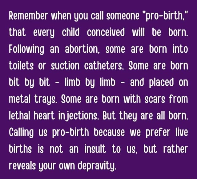 remember-when-you-call-someone-pro-birth-that-every-child-conceived