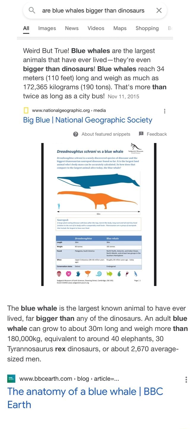 Fun fact/ source for a comment - Qu are blue whales bigger than