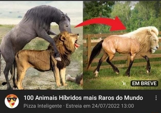 Animais Híbridos – Apps no Google Play