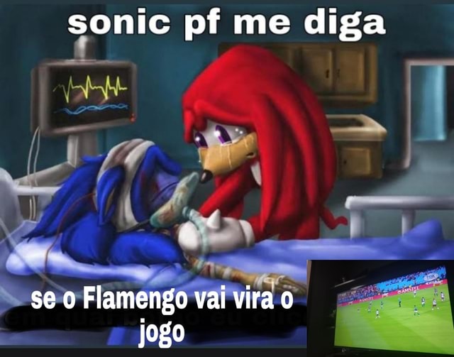 Galera irei mudar o nome do perfil para Sonic, Flamenguista.BIG