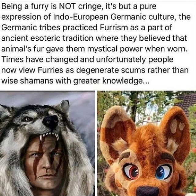 Strange I find people here in the anime that hate Furries/Beastians. But  yet, we are in this culture as both the good guys and bad guys. My favorite  animes with Beastians. 