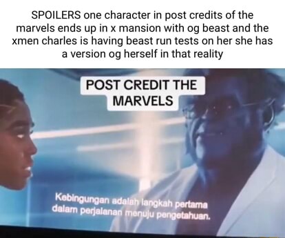 The Marvels post-credit scene : r/MauLer