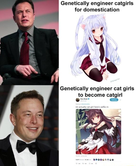 Petition · Genetically engineer Catgirls for domestic ownership! ·