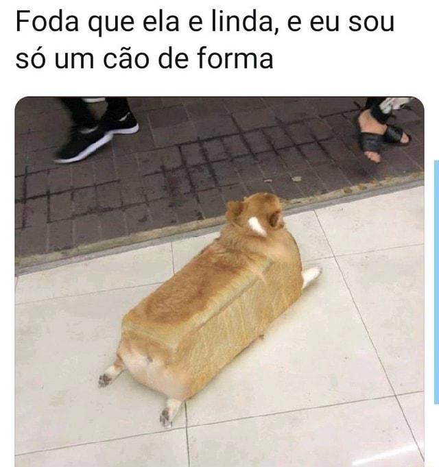 O foda que ela é linda Eeusousóo Leon Agiota do carro do ovo - iFunny Brazil