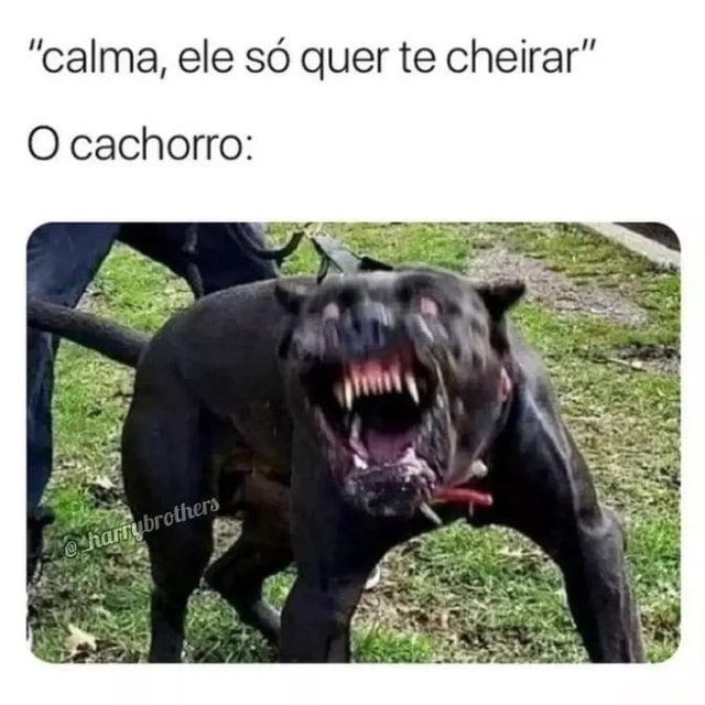 GMKrikor - Eu não sou cachorro não.