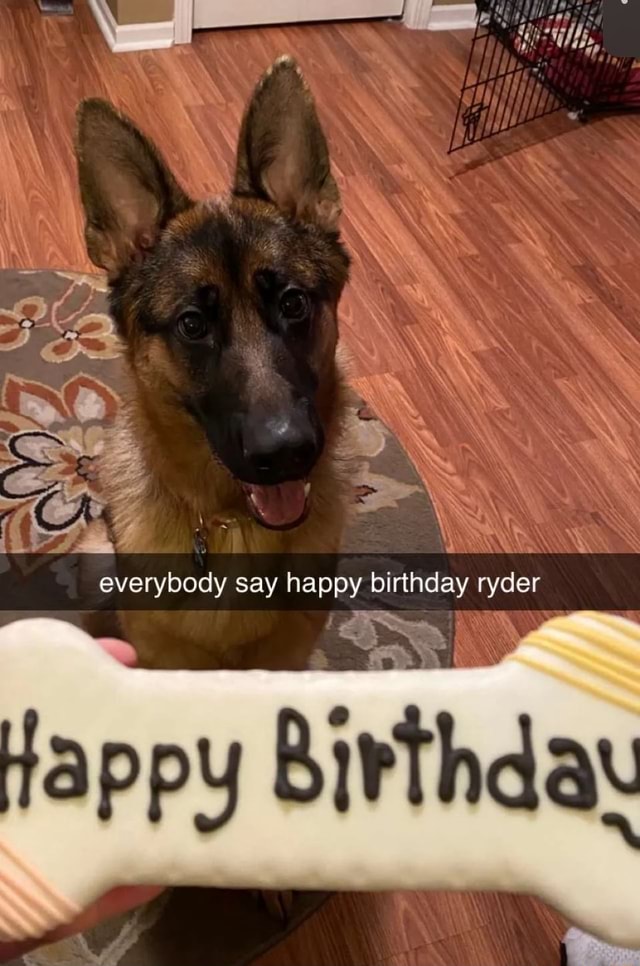 Everybody say happy birthday ryder - iFunny Brazil