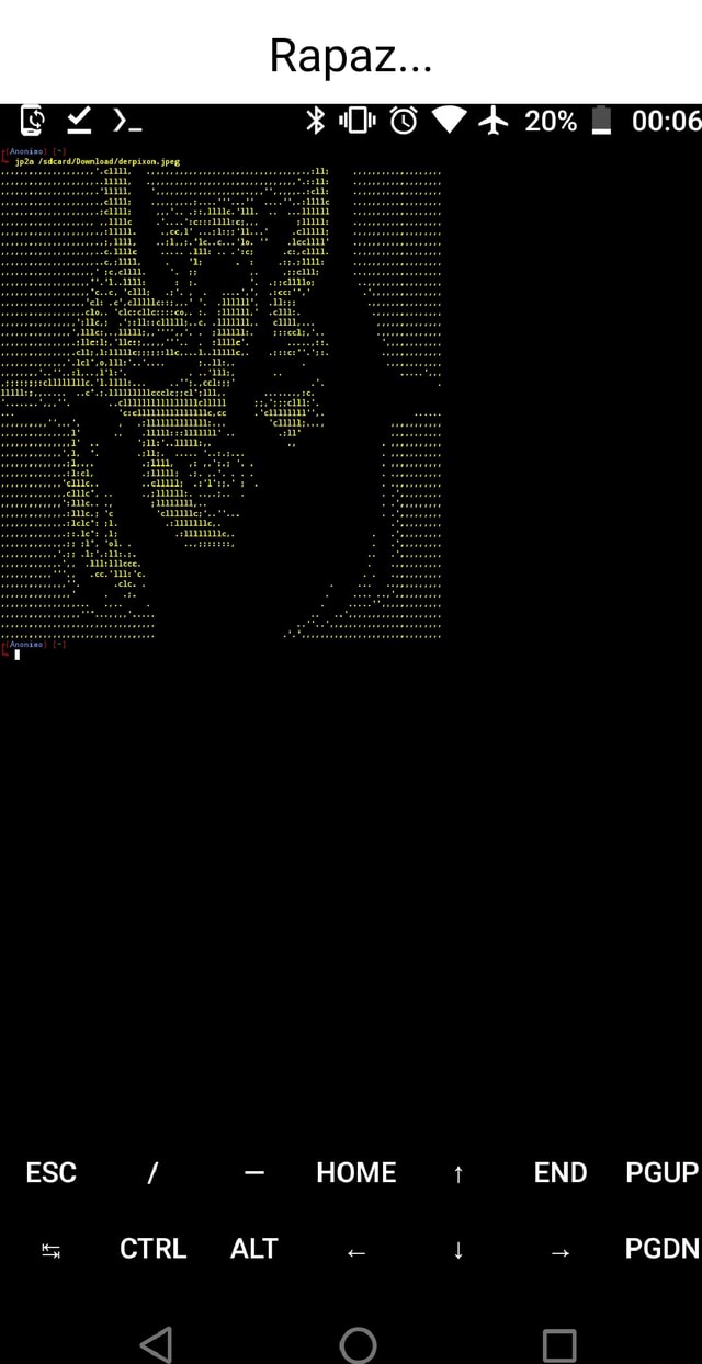 ESC CTRL ALT HOME END PGUP PGDN - iFunny Brazil