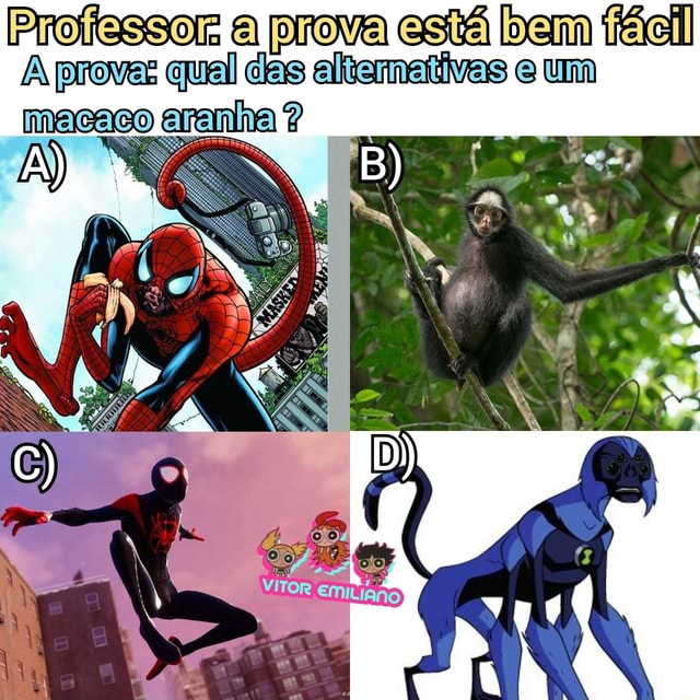 Professor a prova está bem A proves qual das altamaiivas e um