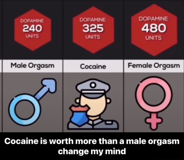 DOPAMINE DOPAMINE DOPAMINE 240 UNITS DOPAMINE 325 UNITS 480 DOPAMINE