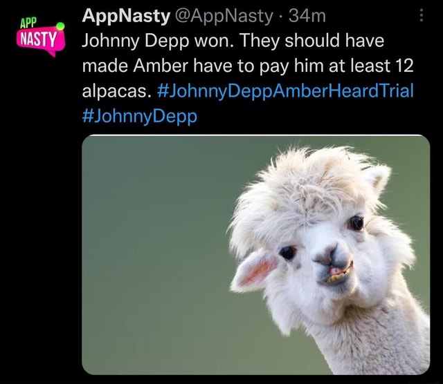 Alpacas pe AppNasty AppNasty Johnny Depp won. They