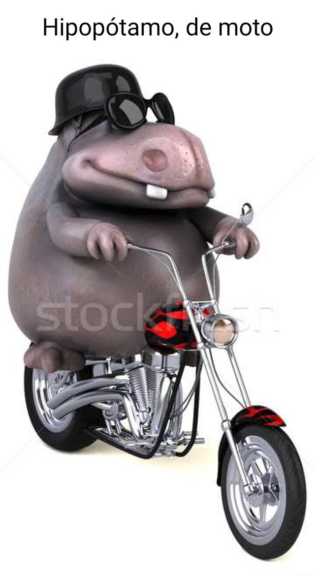 Moto Moto, Eu adoro hipopótamo muito antes de saber que é u…