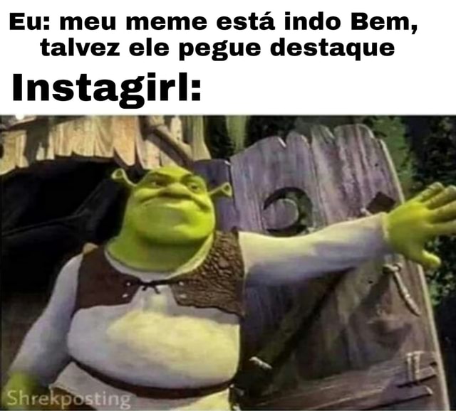 Seu amigo da vizinhança ; ) on Instagram: Sherk apontou uma,me dêem mais  razões #memes #meme #sherk #risadas #criatividade #sucesso #instagram  #reels #viral #viralizou #amigos #conselhos : r/loryez