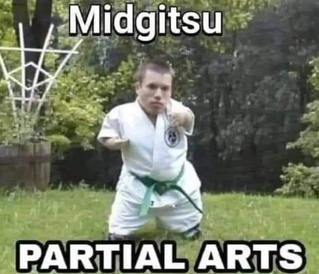 Midgitsu PARTIAL ARTS - iFunny Brazil