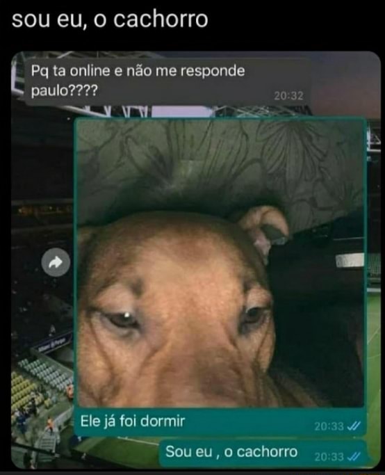 Quando eu estou morrendo na Fila do SUS e me lembro do meme do cachorro  Falando Intankavelo Bostil - iFunny Brazil