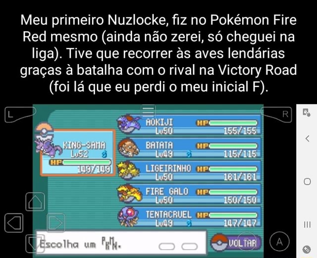 Meu primeiro Nuzlocke, fiz no Pokémon Fire Red mesmo (ainda não zerei, só  cheguei na liga).