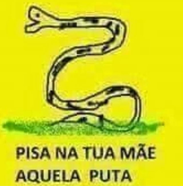 Tua mãe, aquela ursa