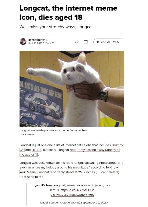 Remember Longcat? The internet meme icon has finally passed away at the age  of 18. - Culture