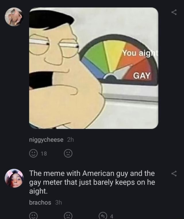 You Gay Niggycheese The Meme With American Guy And The Gay Meter That