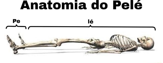 Anatomia do Pelé dp - iFunny Brazil