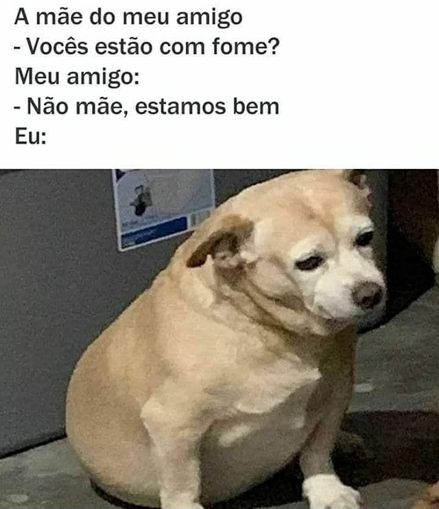 Memes em Imagens (Qmemesemimagens - Mãe, olha esse vídeo engraçado Minha  mãe: - iFunny Brazil