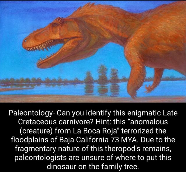 Paleontology- Can you identify this enigmatic Late Cretaceous carnivore ...