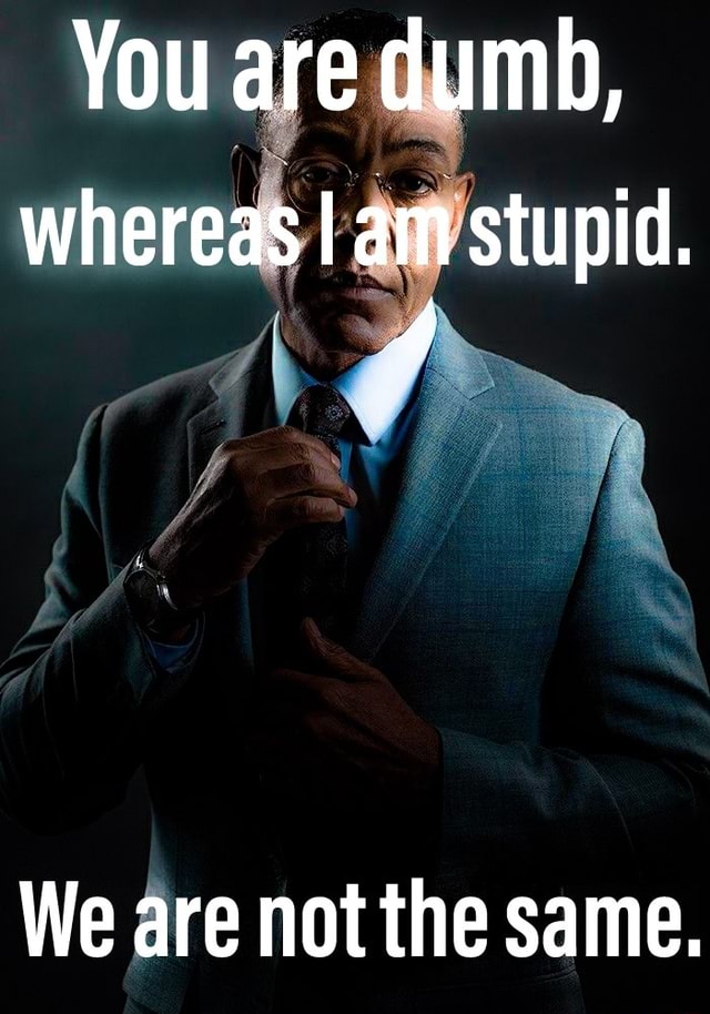 hello i am gustavo fring and im here to tell you to stop posting those im mr  x memes : r/lies