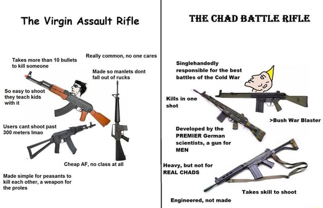 Assault Rifle vs Battle Rifle 