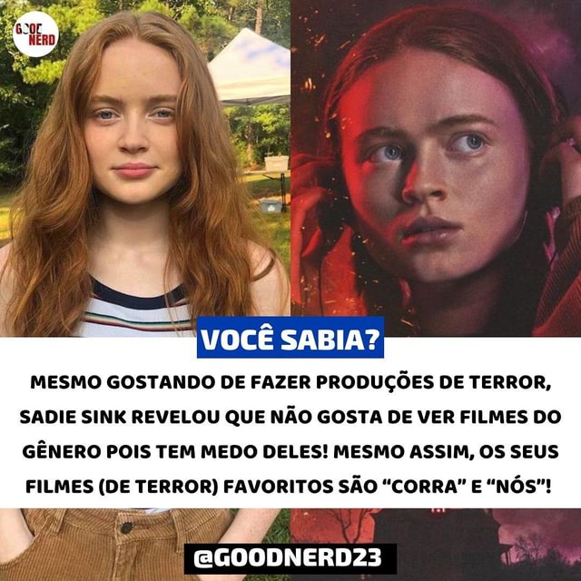 𓂃 ׂ⋆ ˖ ࣪ Falem/Peçam ideias de script pra mim fazer!! #realidadedesej, Sadie Sink