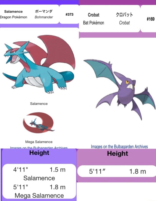 Pokemon 8169 Mega Crobat Pokedex: Evolution, Moves, Location, Stats