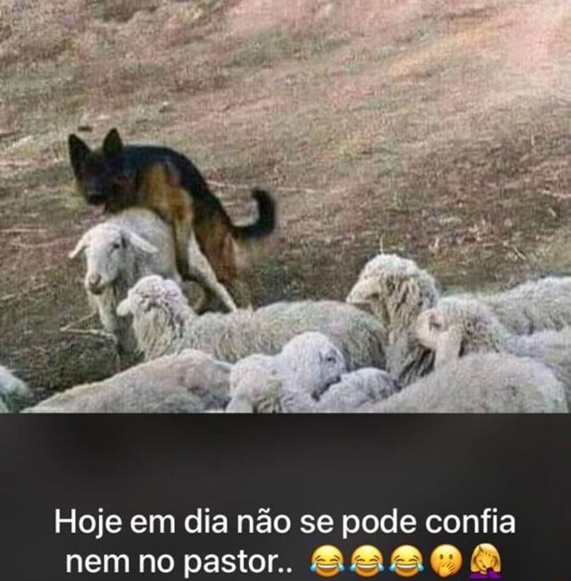 Pode não pastor!