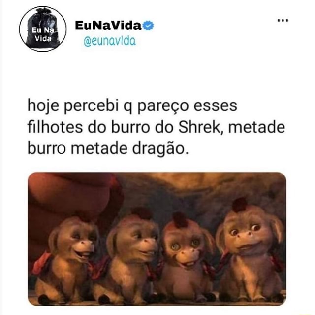 burro meu maior kin!! #shrek #shrekburro #perolas