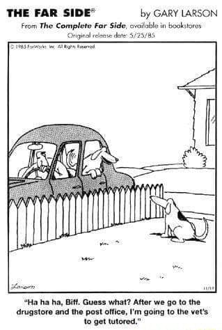 THE FAR SIDE by GARY LARSON From The Complete Far Side veilable