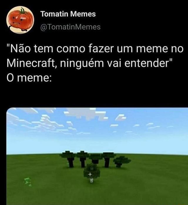 MEMES MINECRAFT #001 - TEM ALGO DE ERRADO COM MEU MINE 