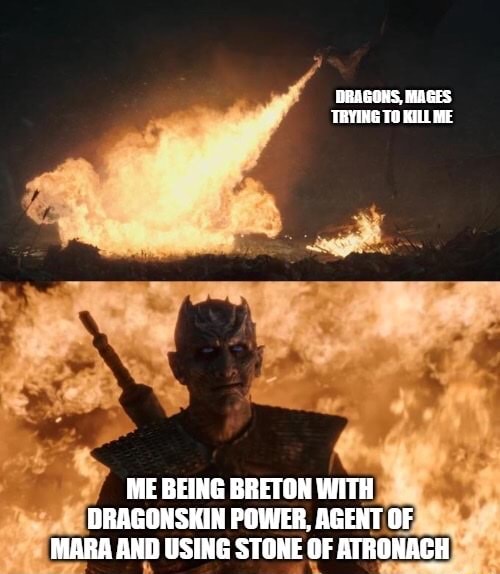 ME BEING BRETON WITH DRAGONSKIN POWER, AGENT OF MARA AND USING STONE OF